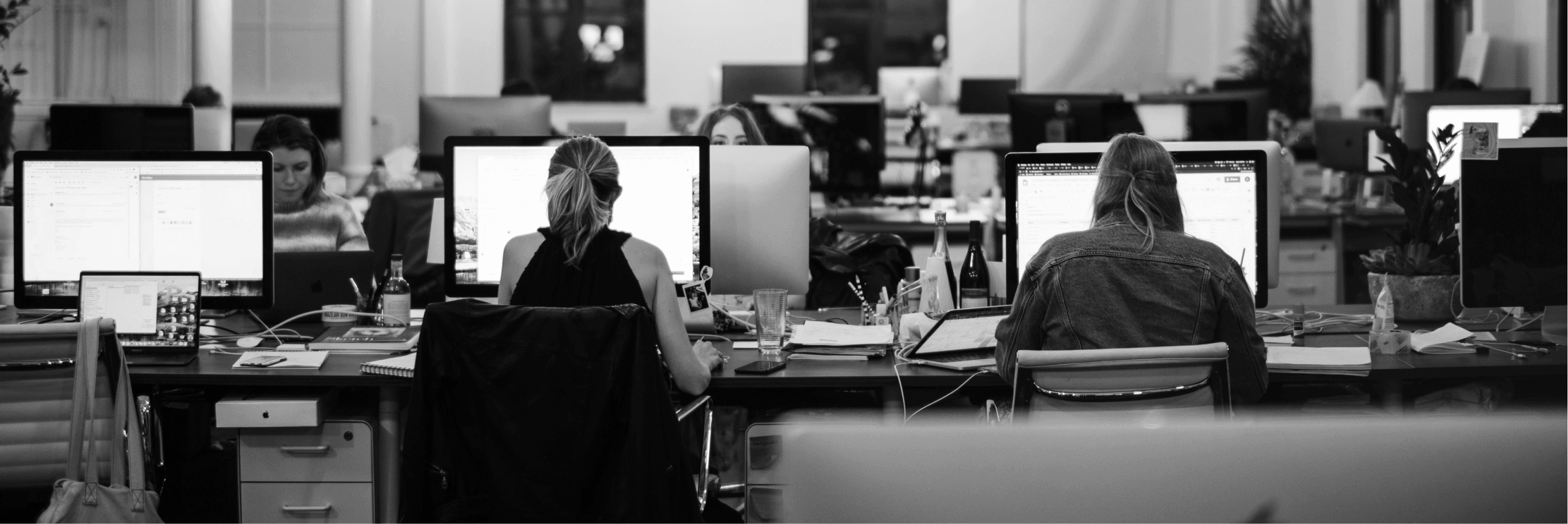 Equipo Vértice Creators trabajando